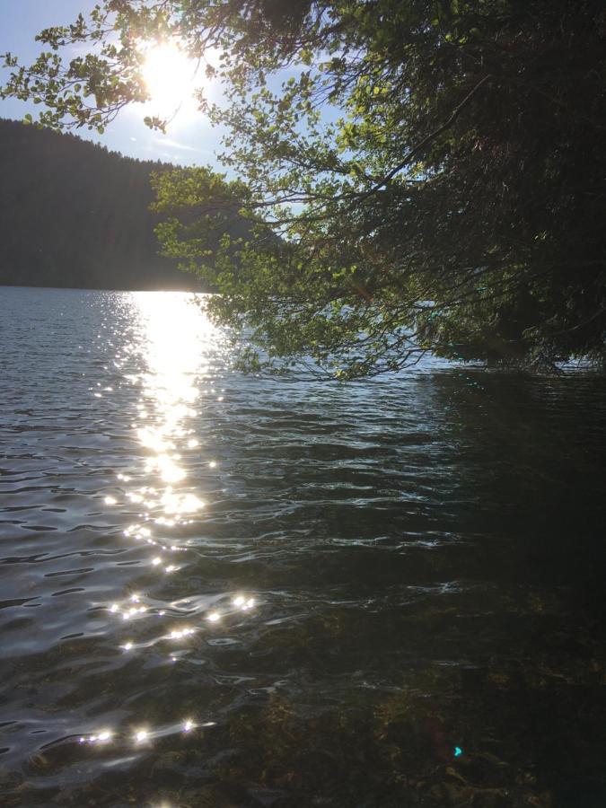 Le Petit Kichon Lejlighed Gérardmer Eksteriør billede