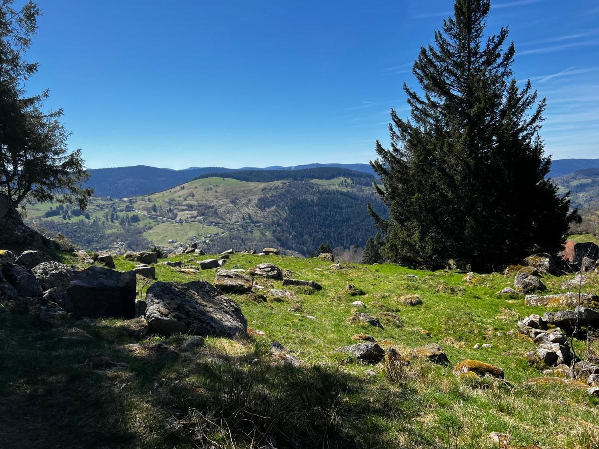 Le Petit Kichon Lejlighed Gérardmer Eksteriør billede