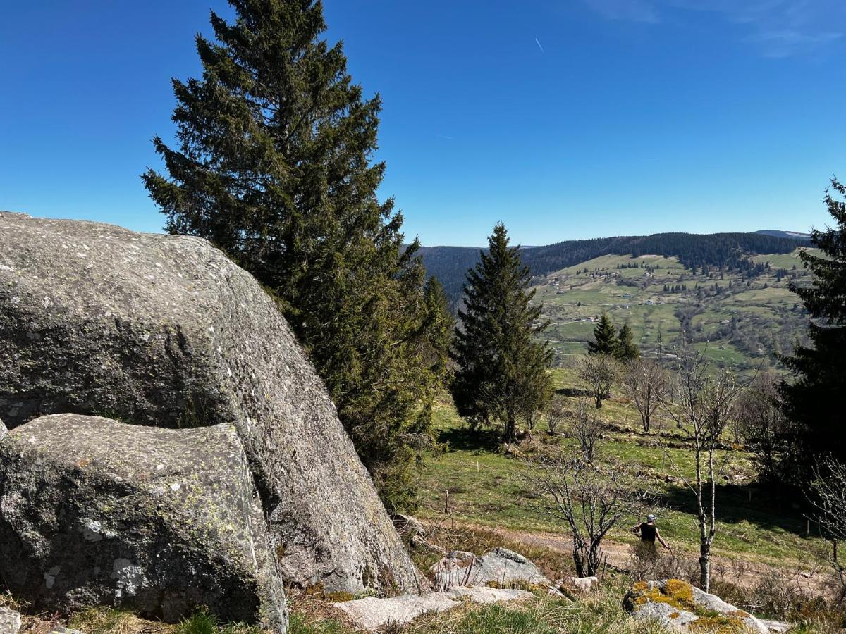 Le Petit Kichon Lejlighed Gérardmer Eksteriør billede